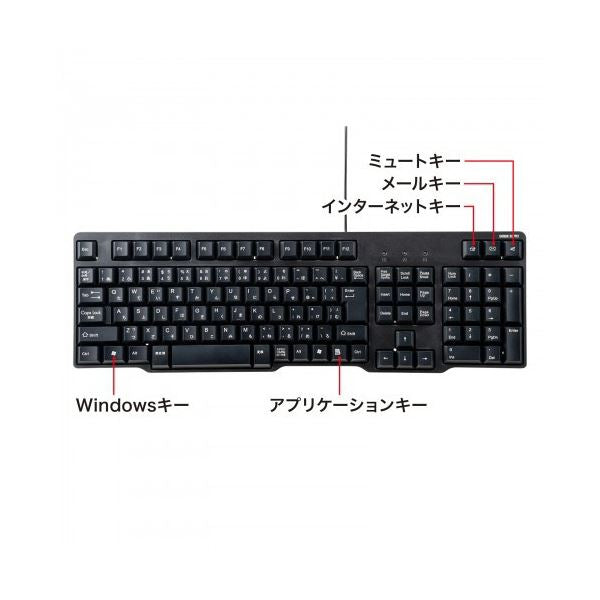 サンワサプライUSBキーボード ブラック SKB-L1UBKN 1台