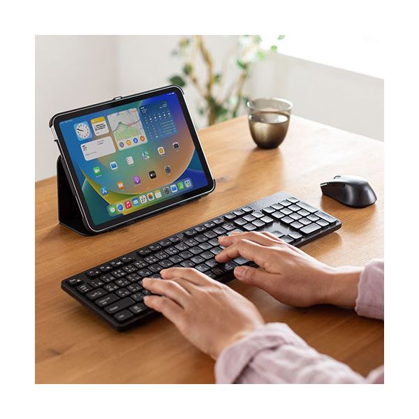 サンワサプライ 静音Bluetoothキーボード テンキーあり SKB-BT37BK