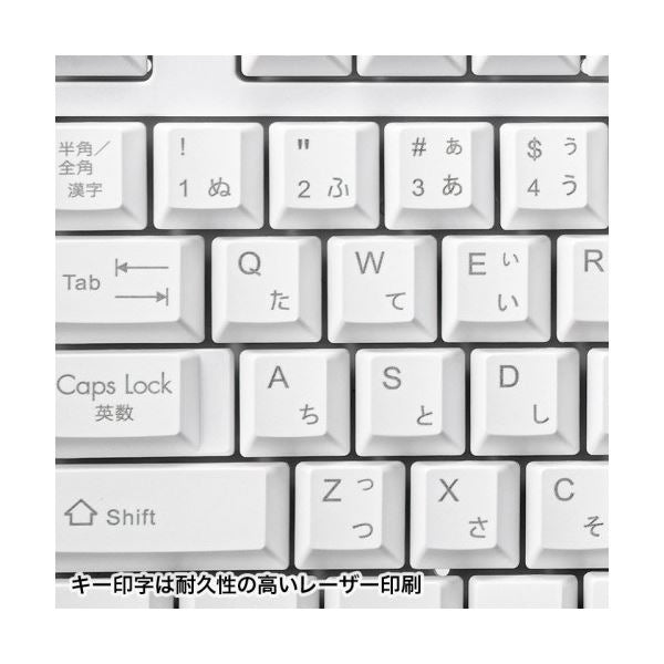サンワサプライUSBキーボード ホワイト SKB-L1UN 1台