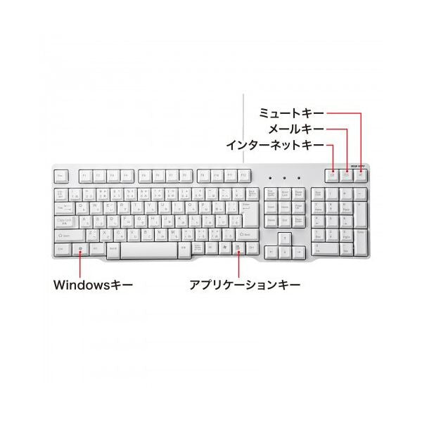 サンワサプライUSBキーボード ホワイト SKB-L1UN 1台