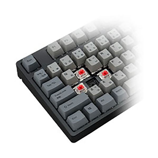 プリンストンiKBC製 JIS配列 91キー メカニカルキーボード 赤軸リニア IK-CD87-G／RD-BK 1台