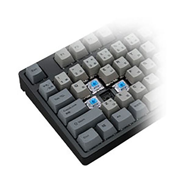 プリンストンiKBC製 JIS配列 91キー メカニカルキーボード 青軸クリッキー IK-CD87-G／BL-BK 1台
