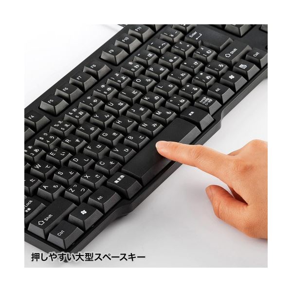 サンワサプライUSBキーボード ブラック SKB-L1UBKN 1台
