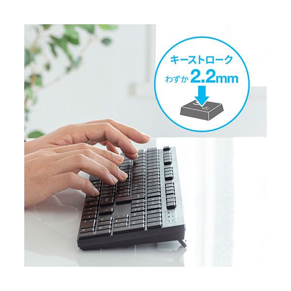 サンワサプライ ワイヤレスキーボード SKB-WL39BK