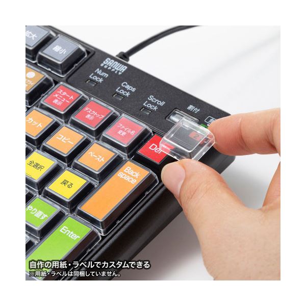 サンワサプライ プログラマブルキーボード 43キーに文字やショートカット機能を割り当てできる SKB-P1BK