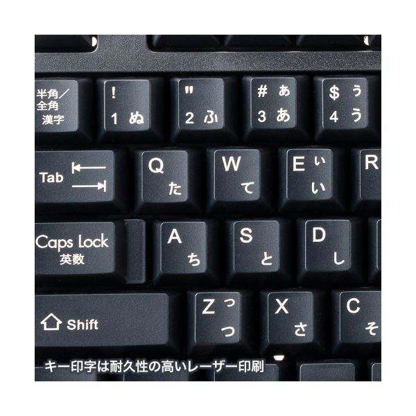 サンワサプライUSBキーボード ブラック SKB-L1UBKN 1台
